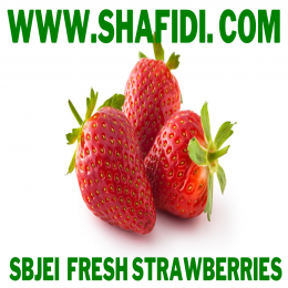 FRESH STRAWBERRIES